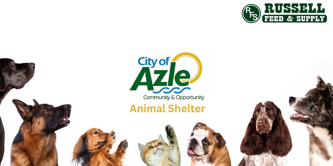 Azle Animal Shelter Wishlist